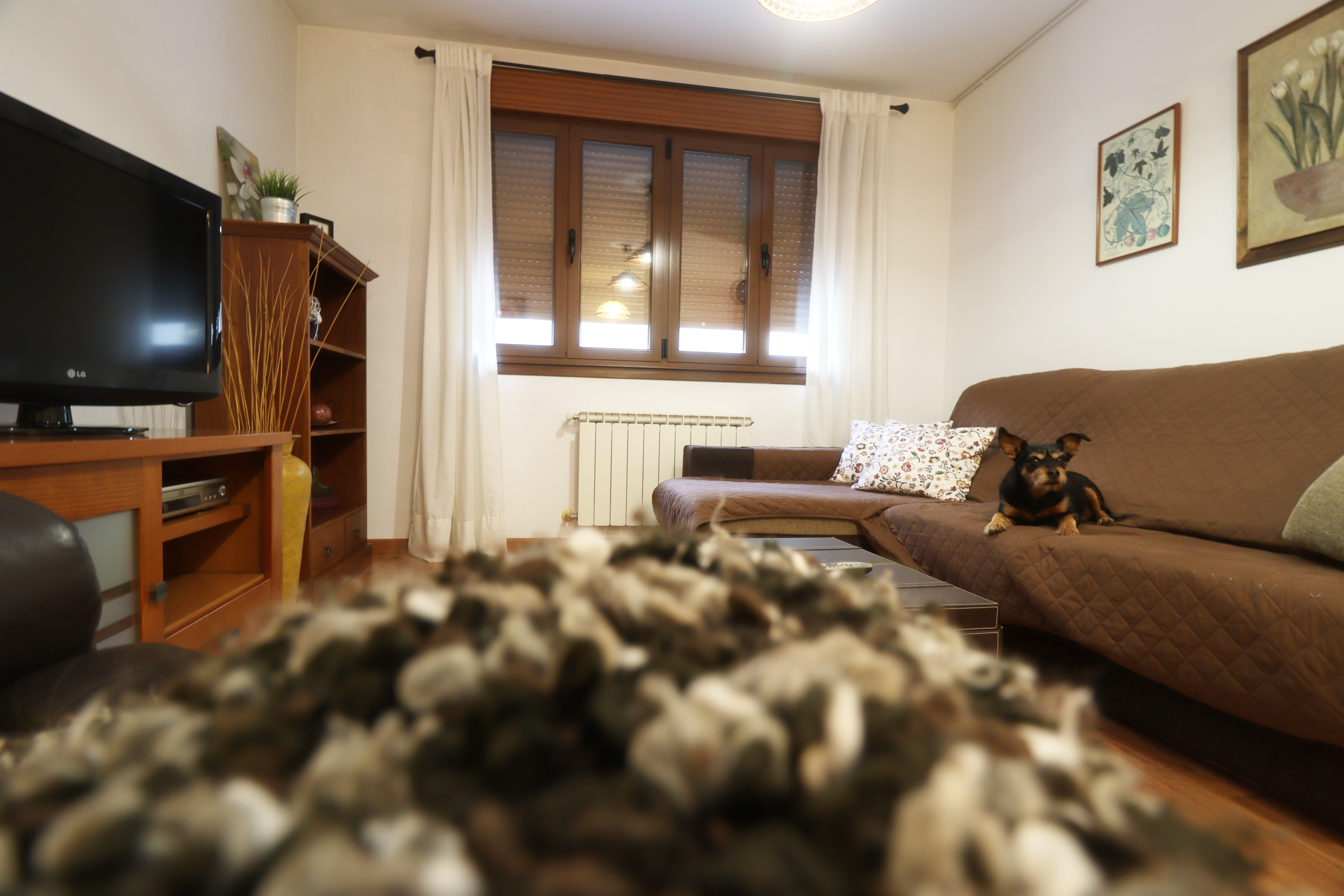 Apartamento rural Al Rincón de Emi